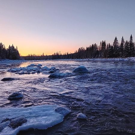 Glamping Taelt/Tent - Glampingzelt -Lodge - Sjoeutsikt Blattniksele Eksteriør billede